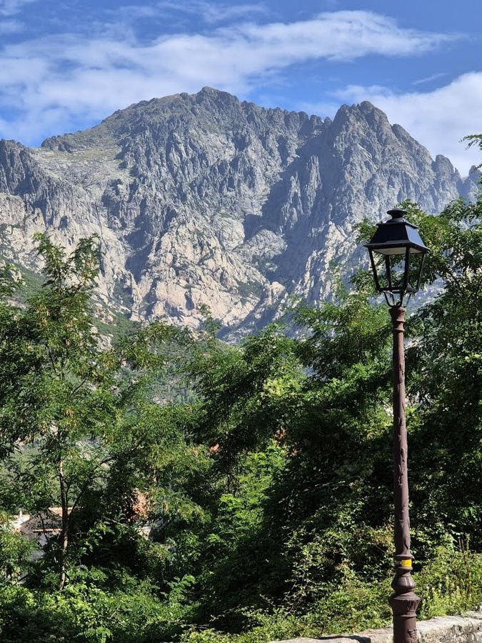 (René Rraffalli) (René Rraffalli)