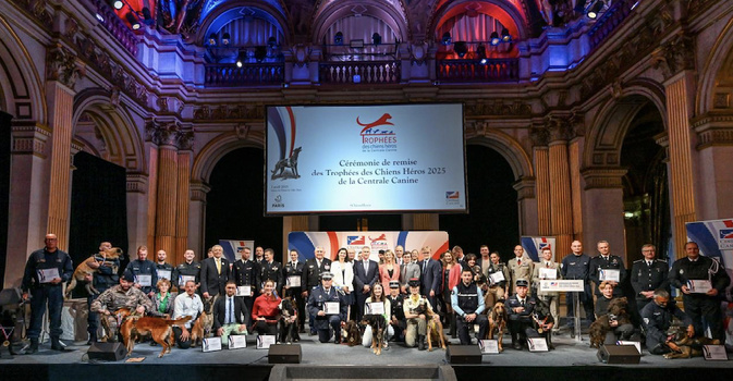 Thor, le chien héros d’Isolaccio-di-Fiumorbu qui a sauvé son maître, récompensé à Paris Thor, le chien héros d’Isolaccio-di-Fiumorbu qui a sauvé son maître, récompensé à Paris