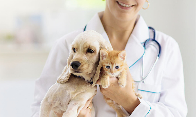 (https://theanimalcare.org) (https://theanimalcare.org)