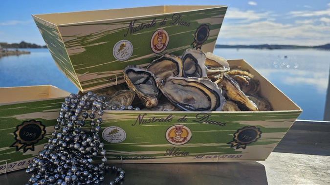 Document CNI Document CNI