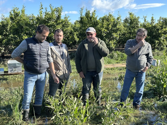 Ce vendredi, les agriculteurs constatent les dégâts dans leurs exploitations Ce vendredi, les agriculteurs constatent les dégâts dans leurs exploitations