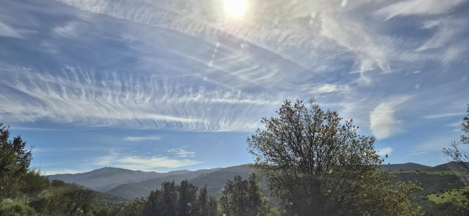 (Françoise Geronimi) (Françoise Geronimi)