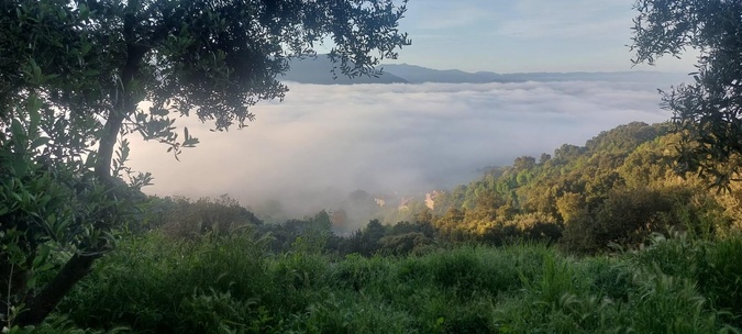 A màghjina : sott'à i nuvuli, Sarrula è Carcupinu A màghjina : sott'à i nuvuli, Sarrula è Carcupinu