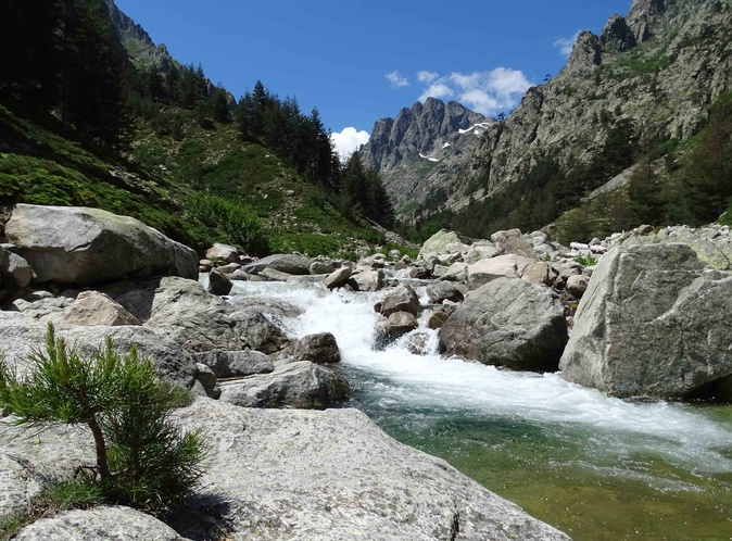 Corte : les navettes pour la Restonica de retour pour la saison 2025 Corte : les navettes pour la Restonica de retour pour la saison 2025