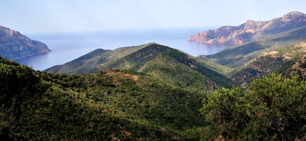 U tempu in Corsica U tempu in Corsica