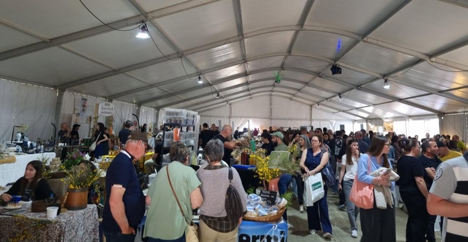 Fiera di u Casgiu in Venacu : des milliers de visiteurs et les meilleurs fromages récompensés Fiera di u Casgiu in Venacu : des milliers de visiteurs et les meilleurs fromages récompensés