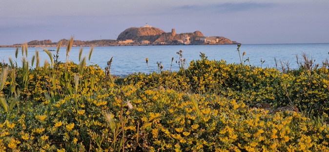 A màghjina : Fiori è memoria di Lisula A màghjina : Fiori è memoria di Lisula