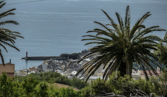 Vue imprenable sur le Vieux-port et la mer