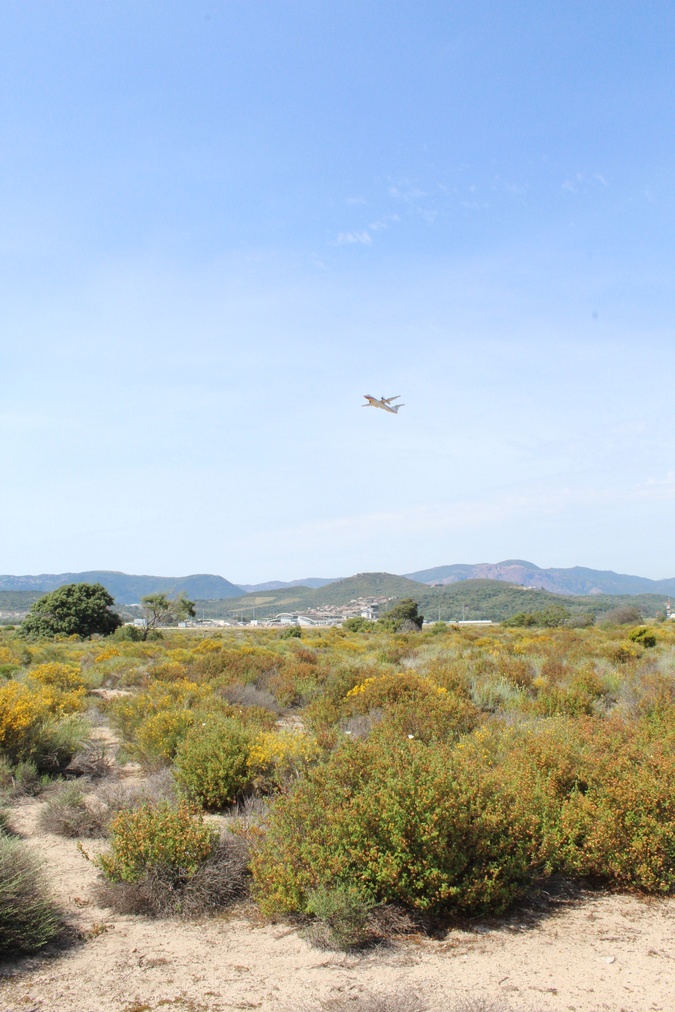 (photos CCI) (photos CCI)