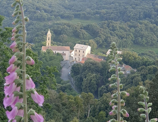 A màghjina : L’ultimu raghju di sole nantu à Sarrula Carcupinu A màghjina : L’ultimu raghju di sole nantu à Sarrula Carcupinu