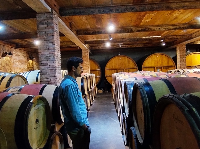 Dans les caves du domaine de Saparale, vieillissent cinq cuvées différentes. Dans les caves du domaine de Saparale, vieillissent cinq cuvées différentes.