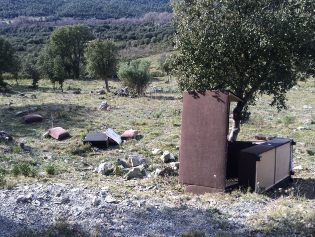 Balade dans la nature : Sangliers abattus et abandonnés, divan à l'air libre… Balade dans la nature : Sangliers abattus et abandonnés, divan à l'air libre…