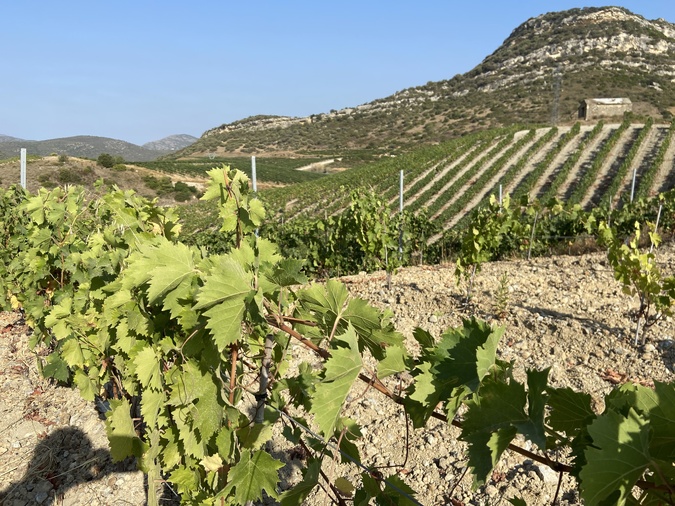 Agritourisme : les agriculteurs corses vont-ils se transformer en professionnels du tourisme ? Agritourisme : les agriculteurs corses vont-ils se transformer en professionnels du tourisme ?