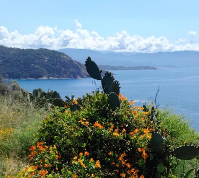 (Claude Raffalli) (Claude Raffalli)