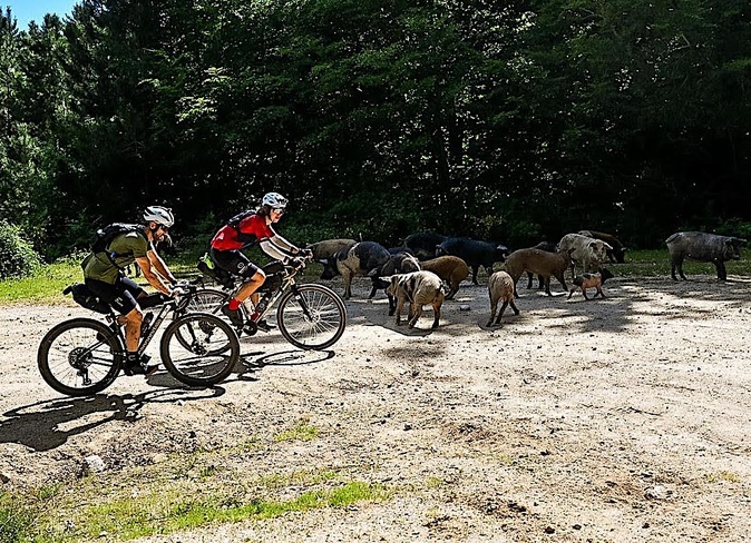 Bikingman 555 - Les premiers concurrents ont rejoint Biguglia Bikingman 555 - Les premiers concurrents ont rejoint Biguglia