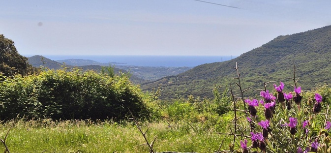 (Françoise Geronimi) (Françoise Geronimi)