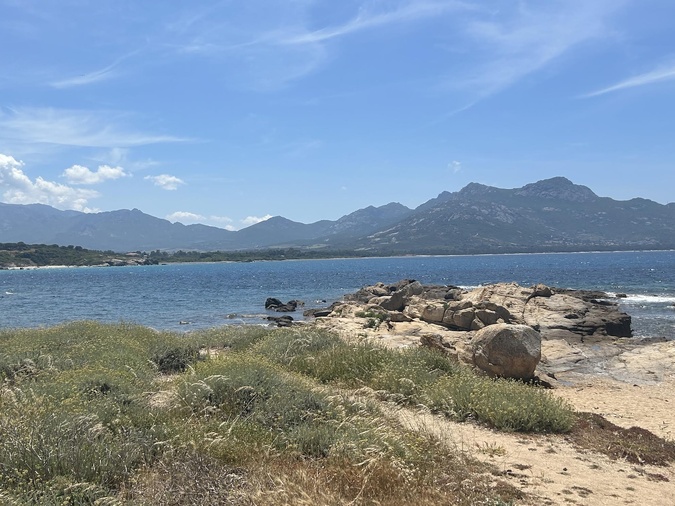 Revelatta (Renaud Kiselman) Revelatta (Renaud Kiselman)