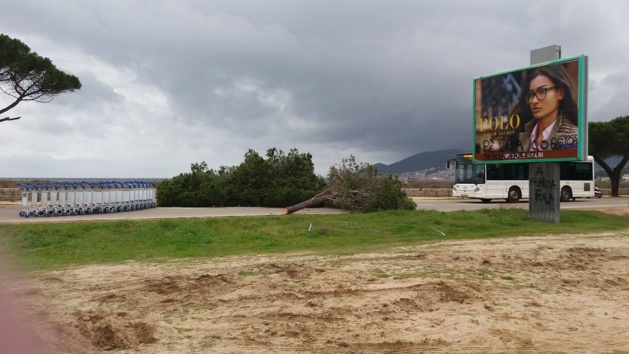 Ajaccio : Un "barrage" pour le bus du FN Ajaccio : Un "barrage" pour le bus du FN
