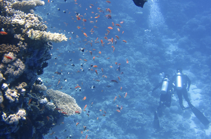 Photo Pexels Photo Pexels