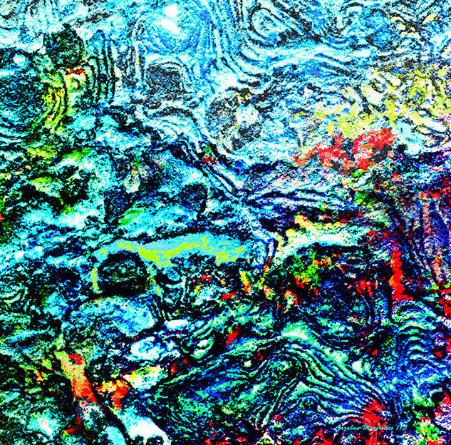 Les photos de Bernard Cazaban-Mazreolles