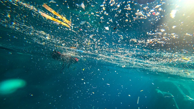 (Photo : Mare Vivu) (Photo : Mare Vivu)