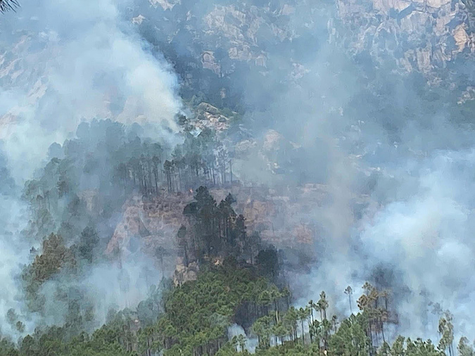 Document Cullettivu per a furesta corsa Document Cullettivu per a furesta corsa