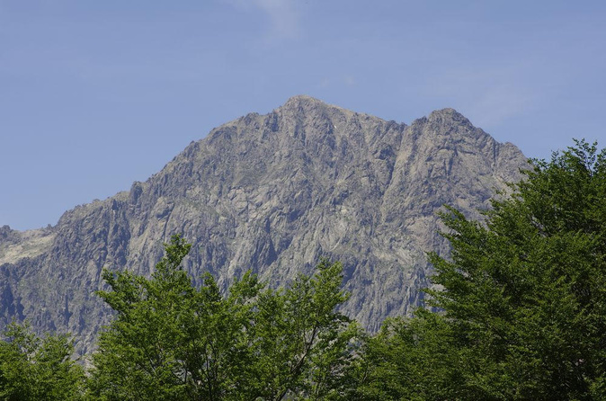 (Joseph Dornbusch) (Joseph Dornbusch)