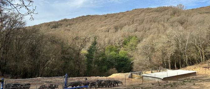 Crédit photo DRAAF de Corse Direction régionale de l'alimentation, de l'agriculture et de la forêt Crédit photo DRAAF de Corse Direction régionale de l'alimentation, de l'agriculture et de la forêt