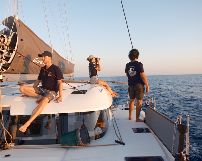 (Photo : Mare Vivu) (Photo : Mare Vivu)