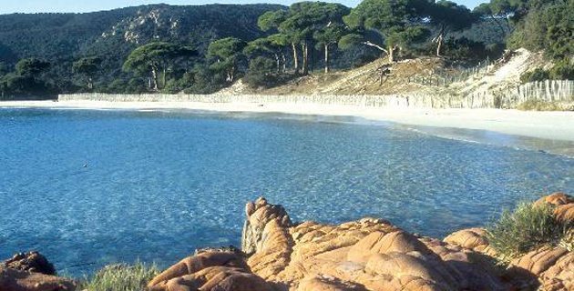  TripAdvisor et les plus belles plages : Palombaggia, 1ère plage de France, est 25ème du classement Europe