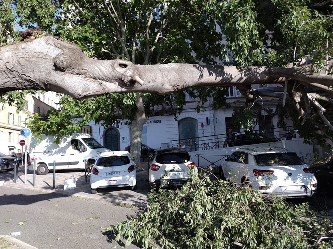 Météo - En Corse, le vent s’installe avant un possible retour de la canicule Météo - En Corse, le vent s’installe avant un possible retour de la canicule