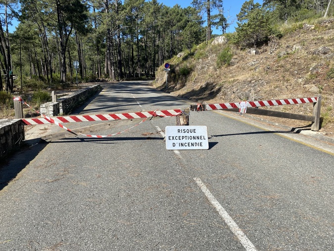 (Photo : Culletivu per a furesta corsa) (Photo : Culletivu per a furesta corsa)