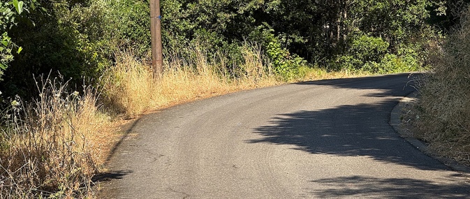 Pene in Capu - Débroussaillement sélectif : l’exemplarité à géométrie variable ? Pene in Capu - Débroussaillement sélectif : l’exemplarité à géométrie variable ?