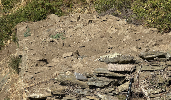 Pene in capu - Invasion à groin armé Pene in capu - Invasion à groin armé