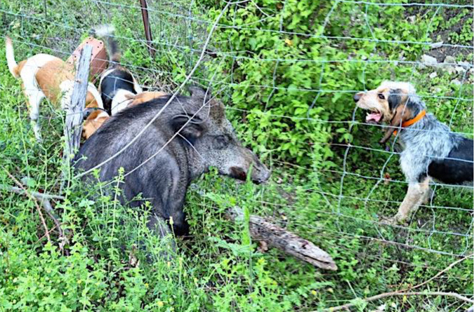 Photo d'illustration