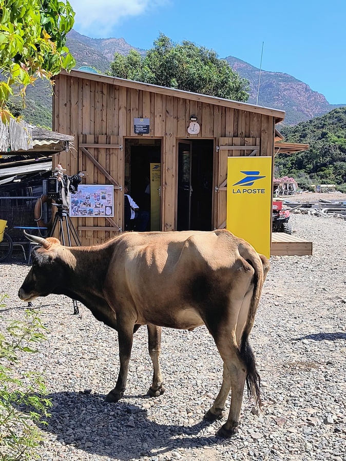 Crédit photo La Poste