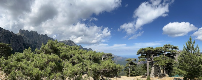 Bavedda (Nadine Lovichi) Bavedda (Nadine Lovichi)