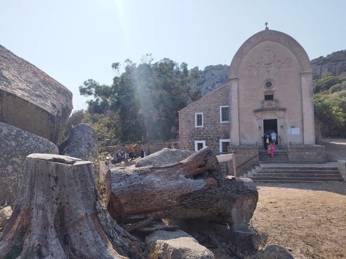 Des chênes emblématiques du site de l'Ermitage de la Trinité ont dû être abattus récemment. Des chênes emblématiques du site de l'Ermitage de la Trinité ont dû être abattus récemment.