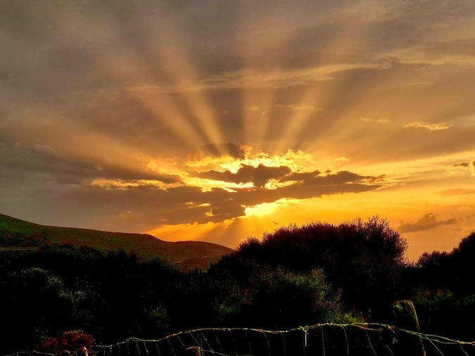 (Françoise Geronimi)