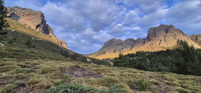 (Françoise Geronimi)
