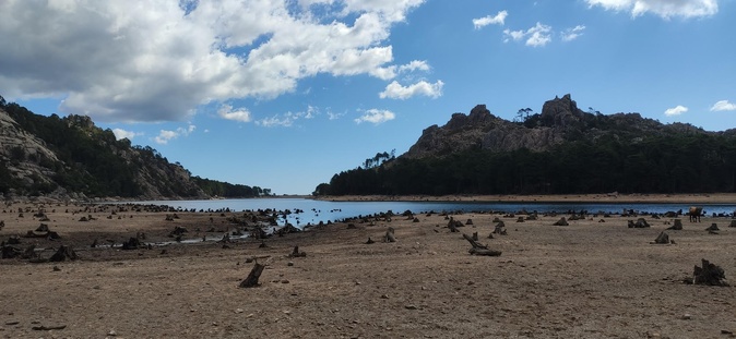 Le barrage de l'Ospedale fin juillet (François-Marie Luciani) Le barrage de l'Ospedale fin juillet (François-Marie Luciani)