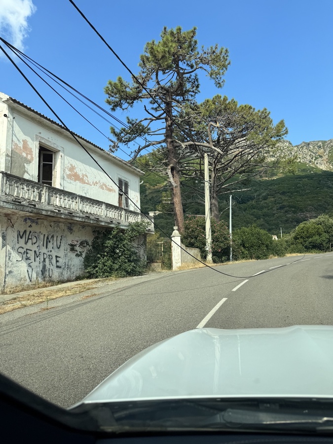 Route de Suerta : poteaux brisés et branches arrachées par le vent