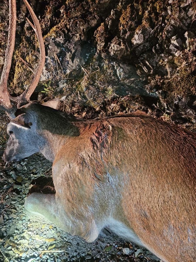 (Photo : PNRC) (Photo : PNRC)