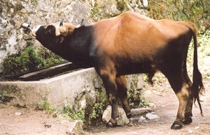 (Image d'illustration)