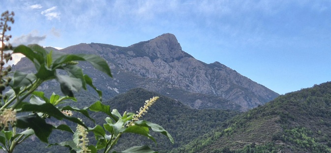 San Petrone (Françoise Geronimi)