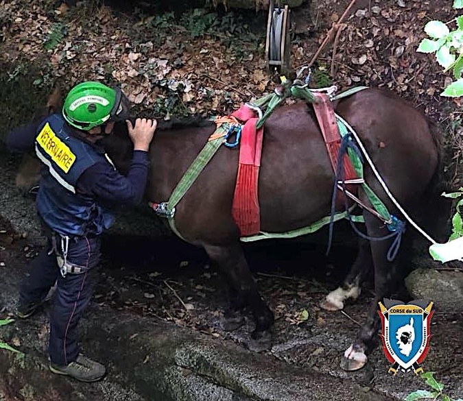 (Poto SIS 2A) (Poto SIS 2A)