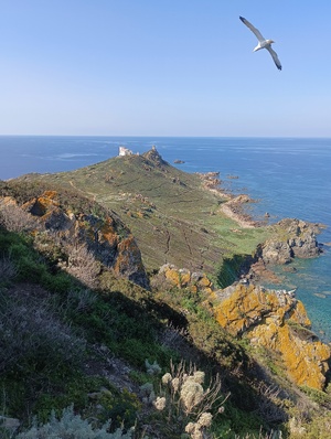 (Crédit photo : Initiative PIM)