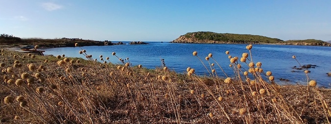 A màghjina :  Vogà versu l’Isula Piana