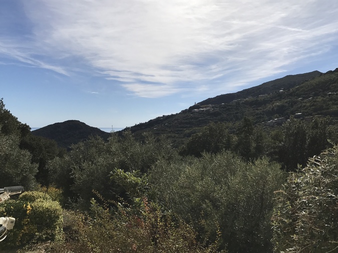 U tempu in Corsica U tempu in Corsica