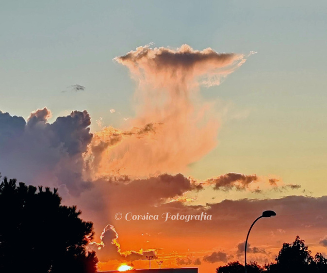 À Vescovato (Corsica Fotografia)